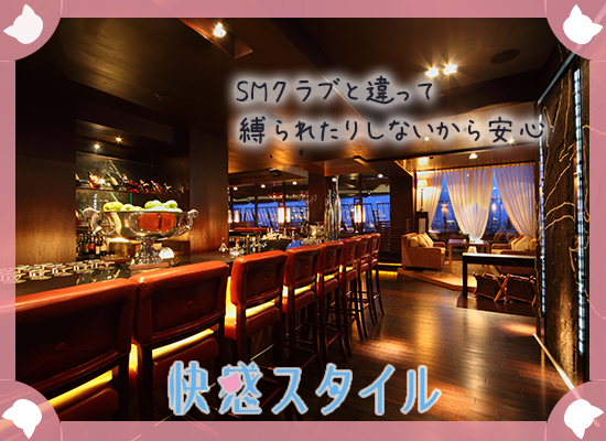初心者のためのSMバー