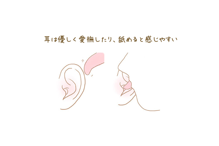 耳の刺激方法についてのイラスト
