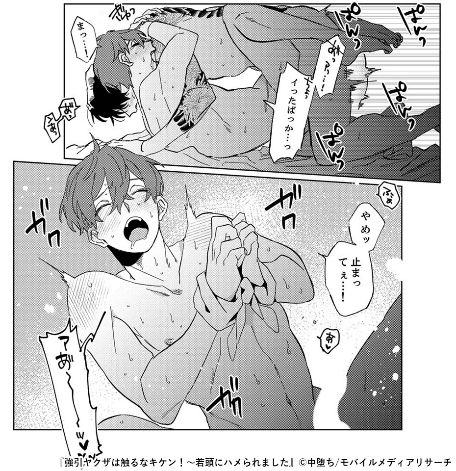 強引ヤクザは触るなキケン！～若頭にハメられました