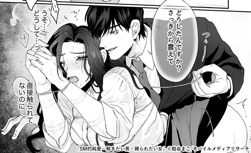 SM的純愛～解きたい男×縛られたい女