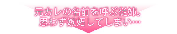 激しいSEXで元カレを忘れさせて～酔ったフリして誘う姉