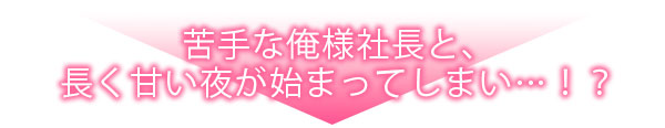 絶倫社長の愛玩うさぎ～性欲の強い男女がセックスしたら？～